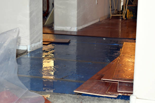 Professional Basement Flood Cleanup technician working in Mokane, MO
